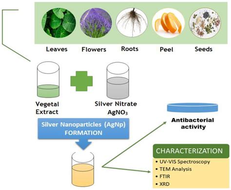 Green Synthesis Of Silver Nanoparticles