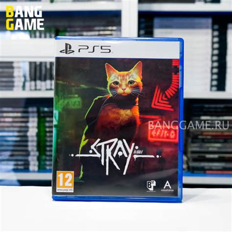 Stray ps5 — BANG GAME