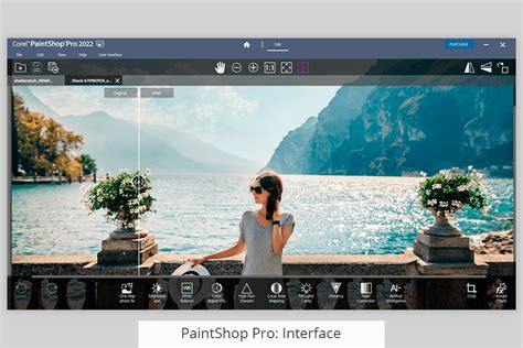 paintshop pro  corel painter  brushes
