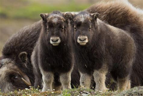 Links Archives Naked Capitalism