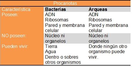 Cuadro Comparativo De Diferencias Entre Celulas Eucariotas Y