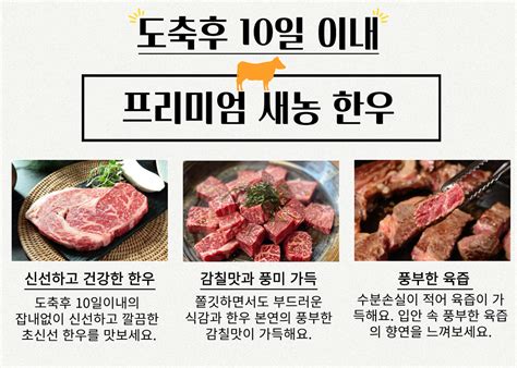 예약한우 안심100g4팩 한우한마리 기획세트 새농
