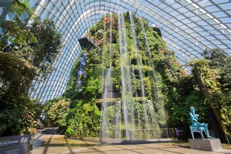 gardens   bay cloud forest singapore   reach  time tips