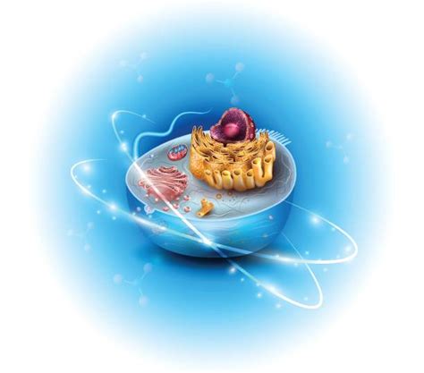 Ribosome Illustrations Royalty Free Vector Graphics And Clip Art Istock