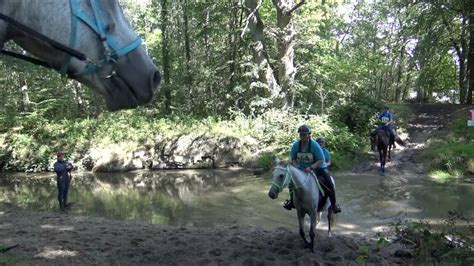 Championnats De France D Endurance Lamotte Beuvron Le Film Hd