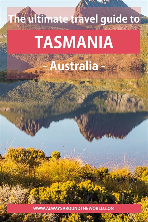 Tasmania Travel Guide: The Ultimate Guide for First-Timers | Tasmania