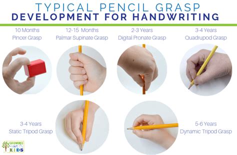 Typical Pencil Grasp Development For Handwriting Collage Growing