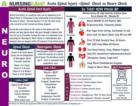 Spinal Shock vs Neurogenic Shock