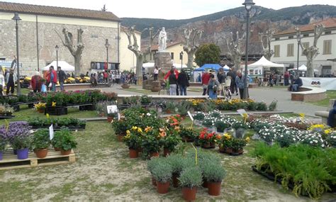 summer  vecchiano festival