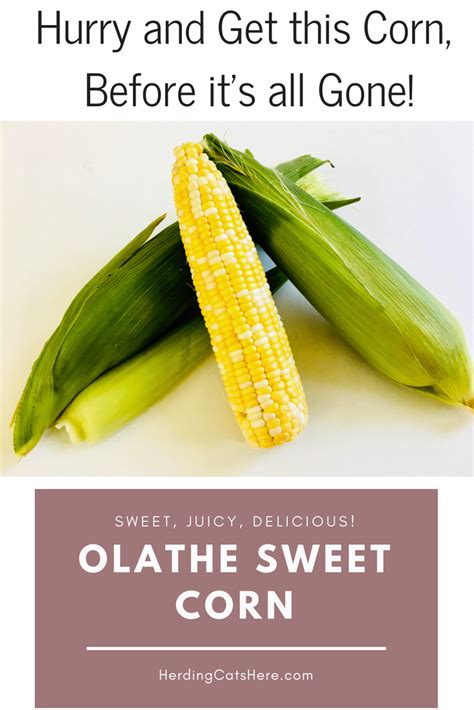 August Is The Month To Get The Best Juiciest Corn Olathe Sweet Corn