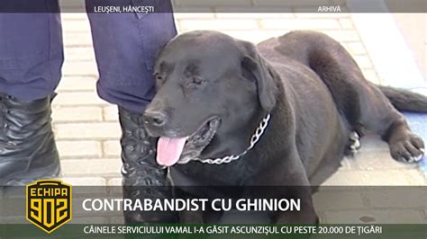 CONTRABANDIST CU GHINION YouTube