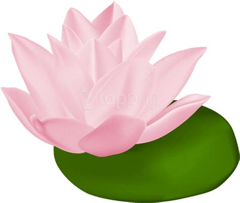 Lily Pad Vector at Vectorified.com | Collection of Lily Pad Vector free ...