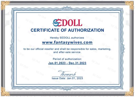 How To Avoid Sex Doll Scams FantasyWives