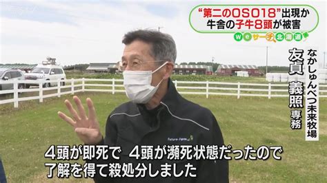 第二のoso18出現か 命がけでクマと対峙 ハンター報酬“安すぎ” 自治体と衝突も 北海道（2024年5月28日掲載）｜stv News Nnn