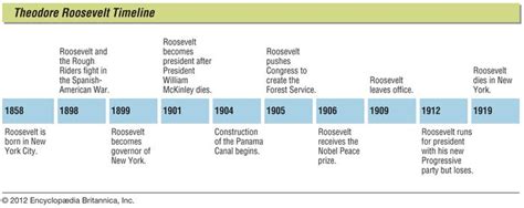 Theodore Roosevelt Biography Facts Presidency National Parks