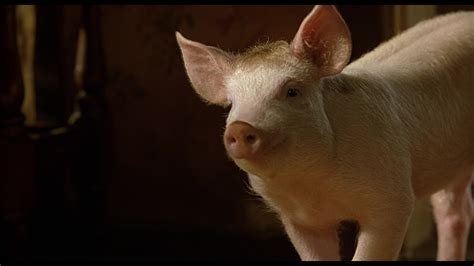 Babe 1995 Screencap Fancaps