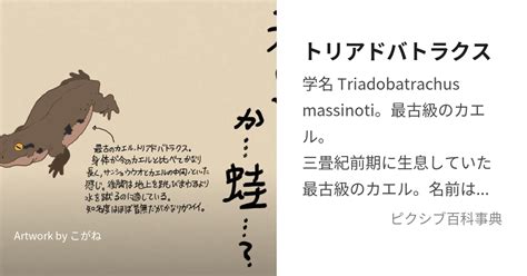 tedqbm