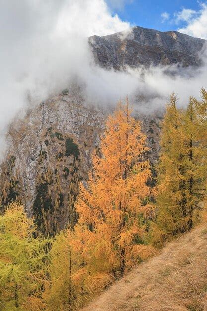 Montes bucegi rumanía Foto Premium