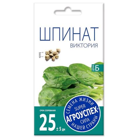 Шпинат — особенности выращивания, лучшие сорта, описание, фото — Ботаничка