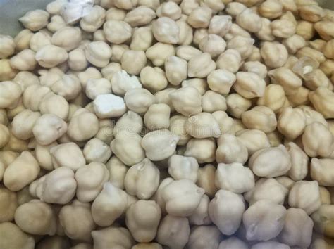 Chickpeas Soaking In The Water Stock Image Image Of Hummus