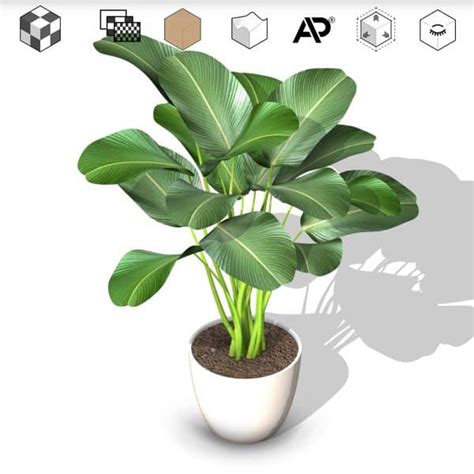 Revit Real Plants Families Hedges Shrubs Ivies Flowers And Grass