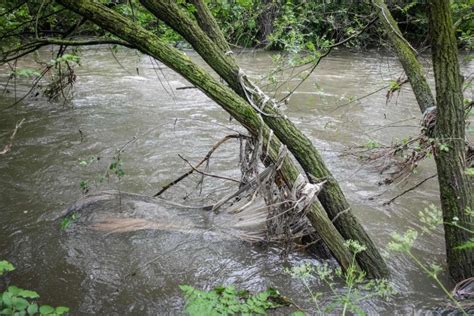 Tragedia Nel Fiume Lambro Era Sparito Nellacqua Ecco Cos Successo