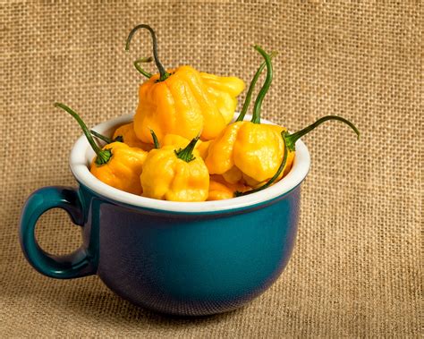 14 Best Peppers To Grow For Salsa In 2023 5 Levels Of Heat