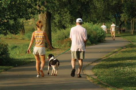 The Benefits Of Walking Your Dog Houston Pettalk