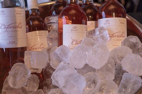 Bodegas Gancedo Presenta En Cacabelos La Nueva A Ada De Sus Caprichos