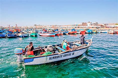 Produce Autoriza Pesca Exploratoria Del Recurso Bonito En Ica Hasta El