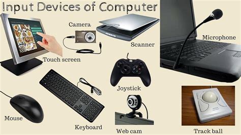 All input, output devices and both Input and output devices of computer