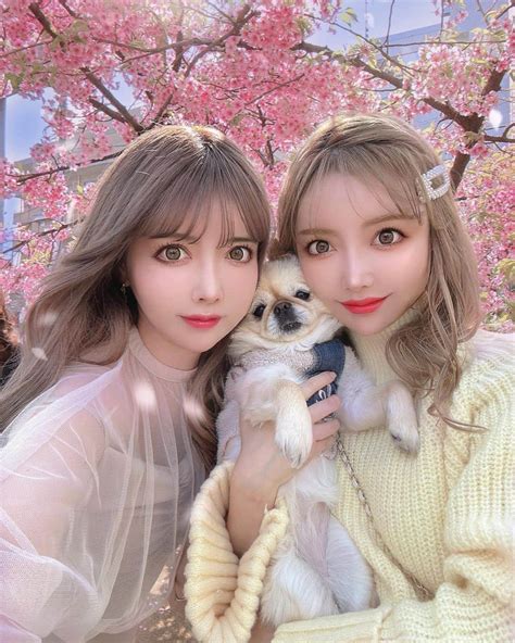 吉川ちえさんのインスタグラム写真 吉川ちえinstagram 「【🌸🌸🌸🌸🌸🌸🌸】 ちかさんときなこ🐶と桜新町にある 桜神宮で桜見に