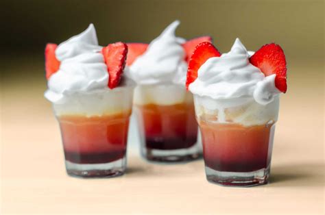 11 Rumchata Pudding Shots Cocktails Cafe