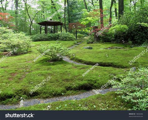 View Of A Japanese Moss Garden Stock Photo 13836496 Shutterstock