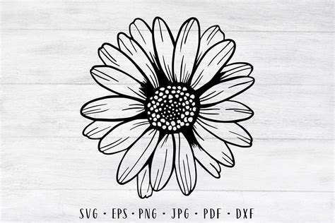 Daisy Flower Svg Daisy Svg Flower Svg Sunflower Svg Daisy Decal Svg ...