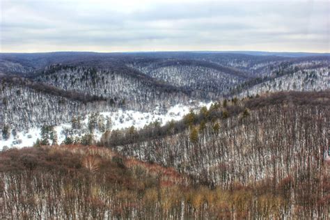 Новости — Самарская лука