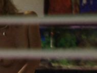 Naked Kim Dickens In Things Behind The Sun