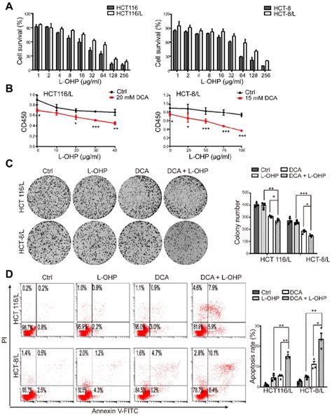 Dca Restores Chemosensitivity In L Ohp Resistant Crc Cells A Hct116