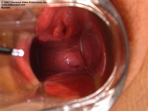 InThe Crack Raven Medium 021 085 Porn Pic