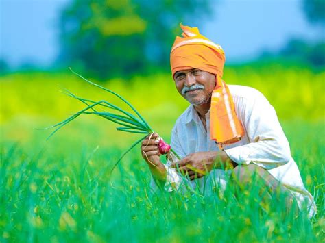 Can the recent reforms in agriculture sector spell a harvest of hope ...