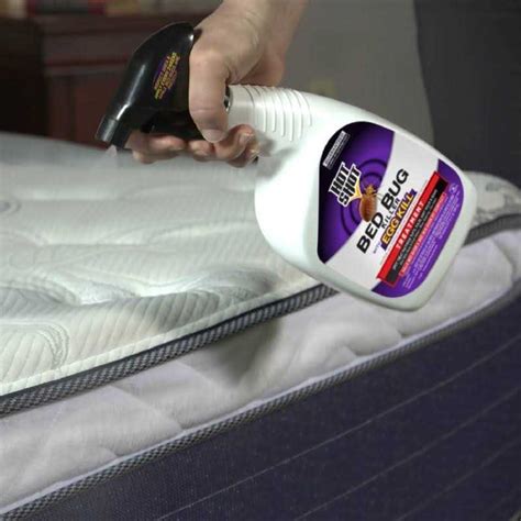 Hot Shot Bed Bug Killer Oz Home Office Supplies On Sale