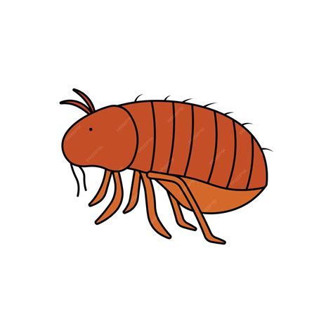 4534 Flea Cartoon Images Stock Photos 3d Objects And Vectors Clip