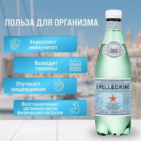 San Pellegrino 0,5 л х 24 шт минеральная вода газированная. Питьевая ...