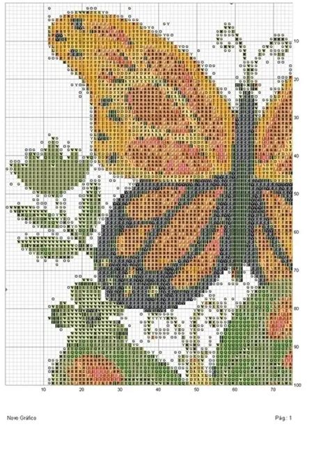 Бабочки - Домоводство - Медиаплатформа МирТесен