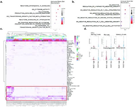 Association Of Muc High Expressing Crpc Tumors With Immune Cell