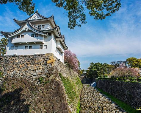 THE 15 BEST Things to Do in Aichi Prefecture (2025)