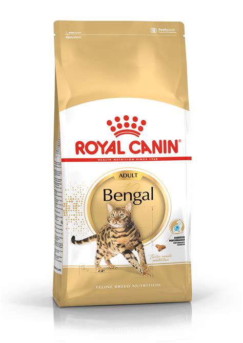 Bengal | Royal Canin AU