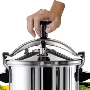 TEFAL Authentic 8L Pressure Cooker, Stainless Steel, All heat sources ...