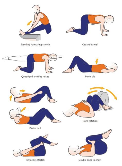 1000+ images about Lower Back Exercises At Home on Pinterest | Back ...