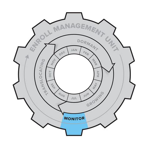 Phragmites Adaptive Management Framework (PAMF): Landing Page | Great